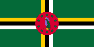 The flag of Dominica has a green field with a large centered tricolor cross. The vertical and horizontal parts of the cross each comprise three bands of yellow, black and white. A red circle, bearing a hoist-side facing purple Sisserou parrot standing on a twig and encircled by ten five-pointed yellow-edged green stars, is superimposed at the center of the cross.